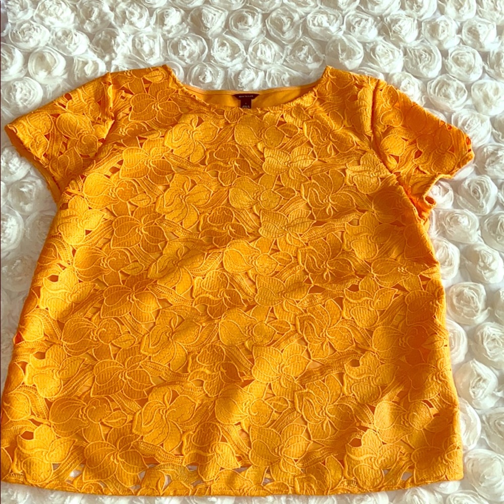 Loft Lace Blouse
